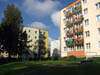 klatki gniezno